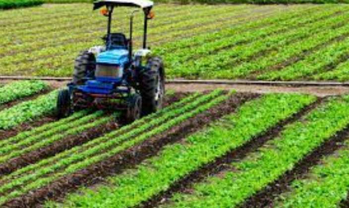 Agriculture & Agro-Allied Industry Insurance